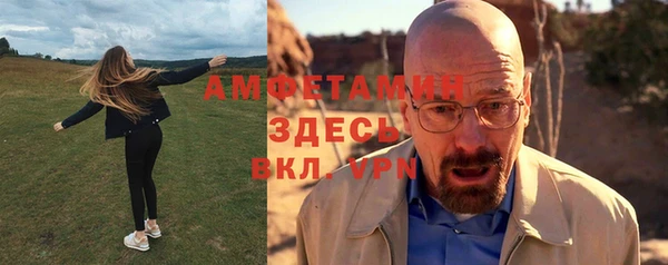 гидра Новозыбков