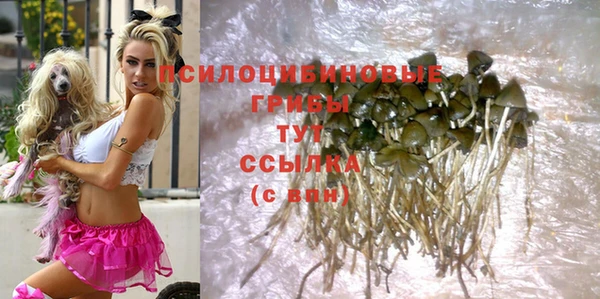 mix Новодвинск