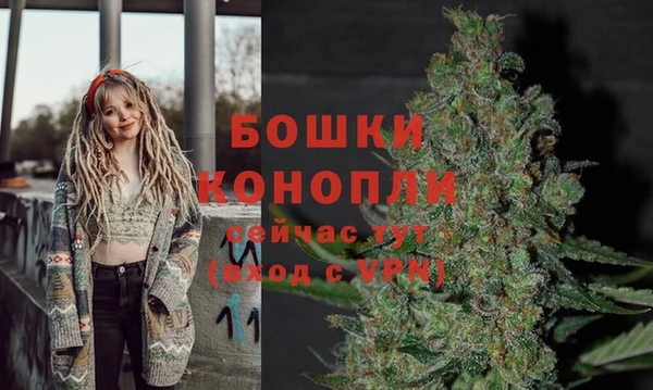 mix Новодвинск