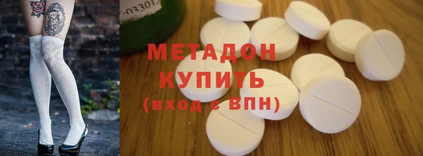 прущие грибы Новокубанск