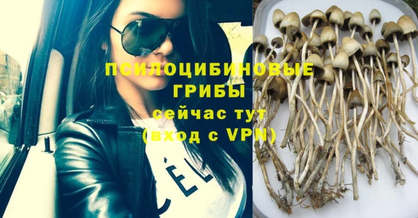эйфоретик Абинск