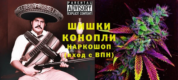 гидра Новозыбков