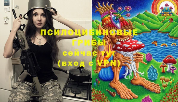 прущие грибы Новокубанск