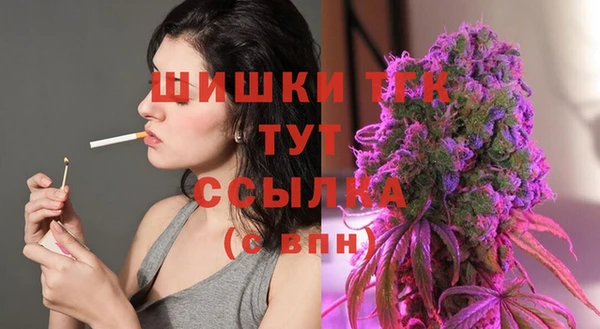 mix Новодвинск