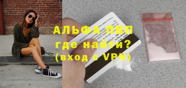 прущие грибы Новокубанск