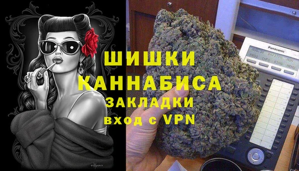 гидра Новозыбков