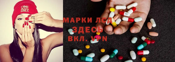 гидра Новозыбков