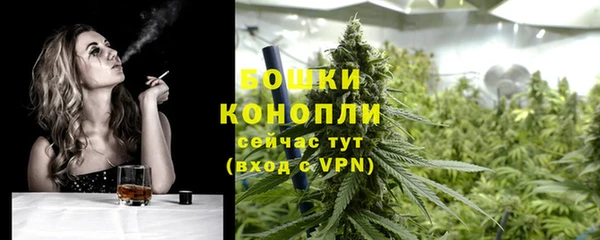 прущие грибы Новокубанск