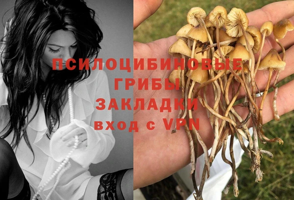 mix Новодвинск